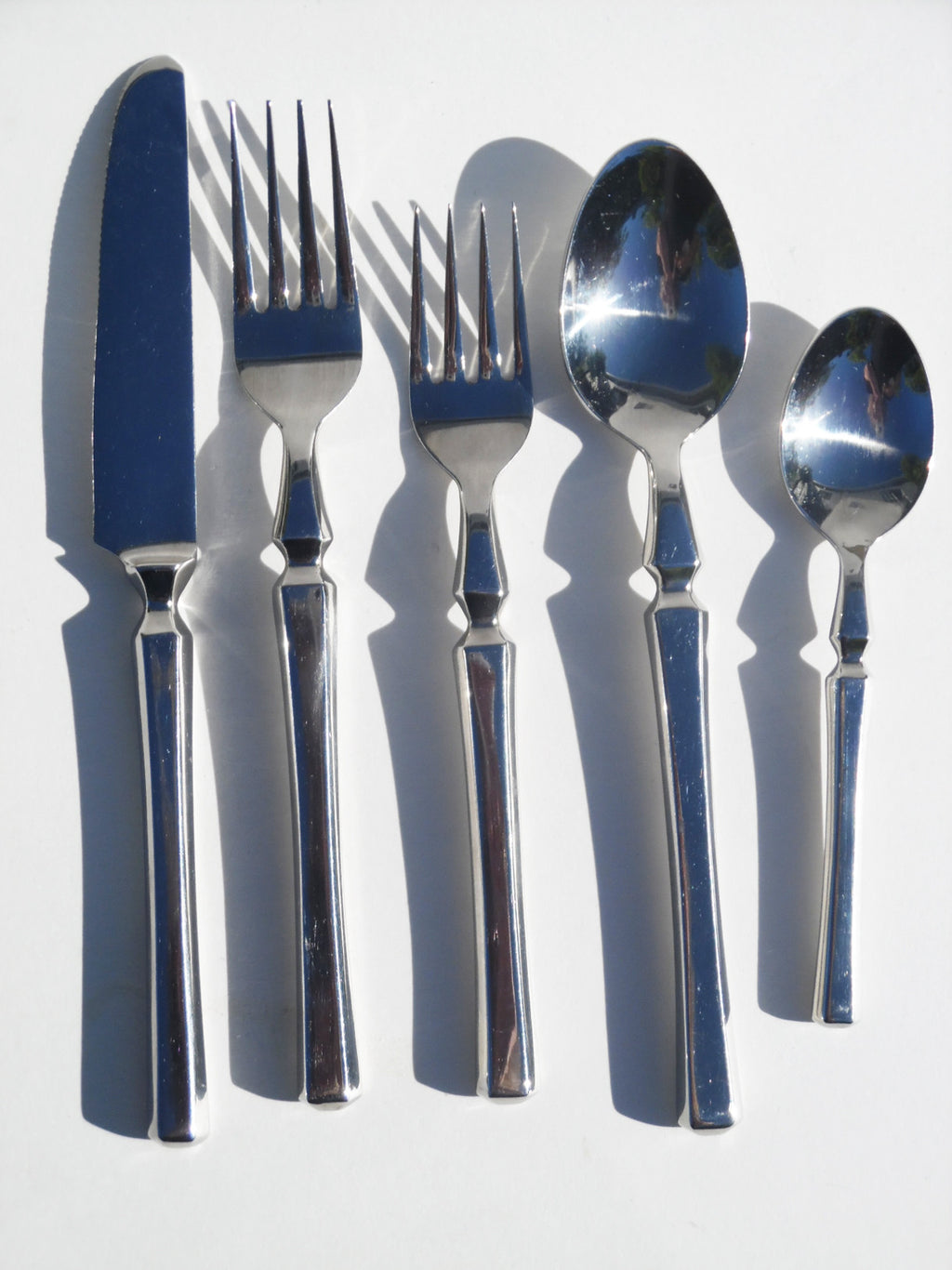 Stainless Steel Roman Design 5 Piece Place Setting