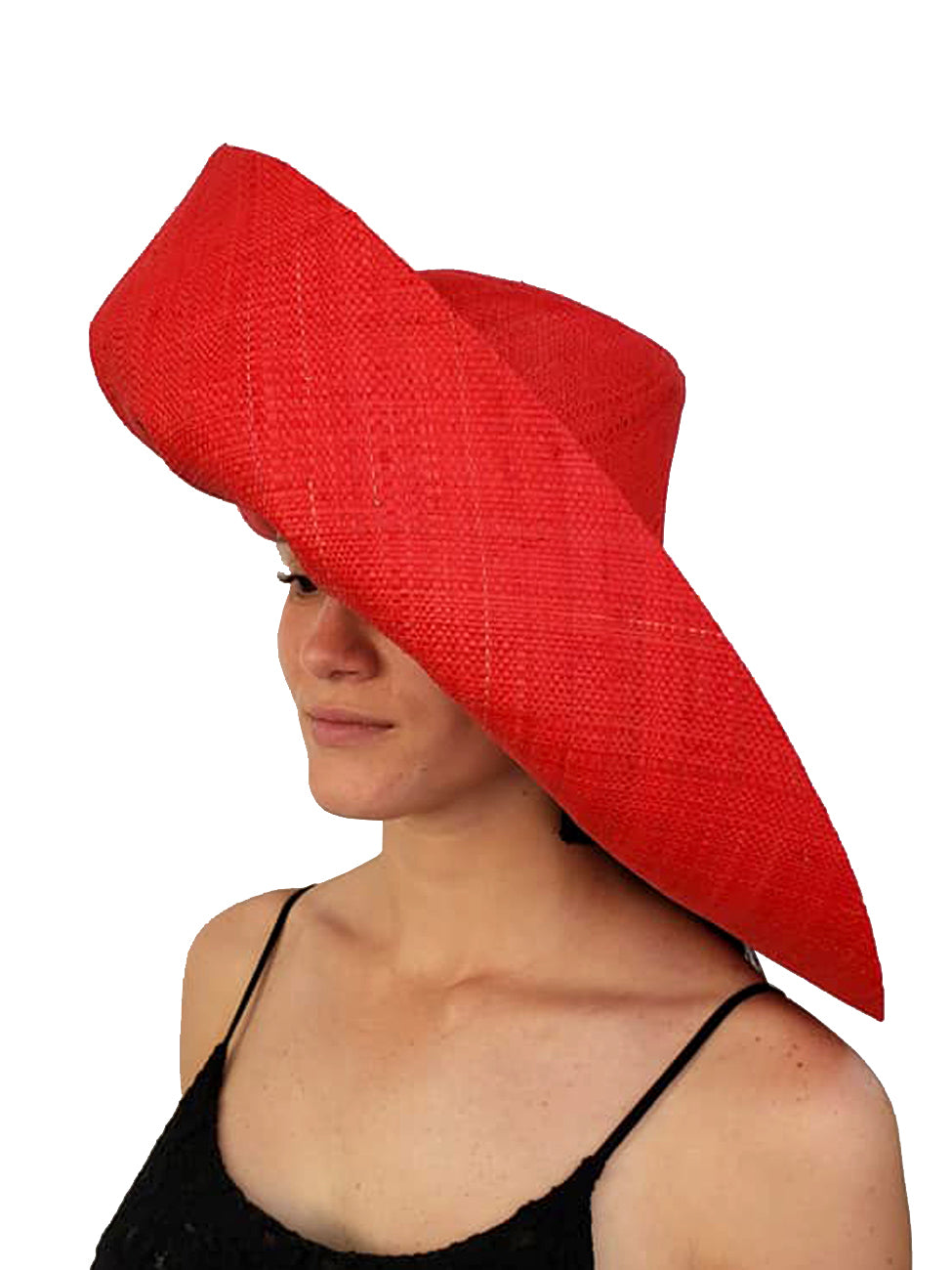 Wide Brim Raffia Hats